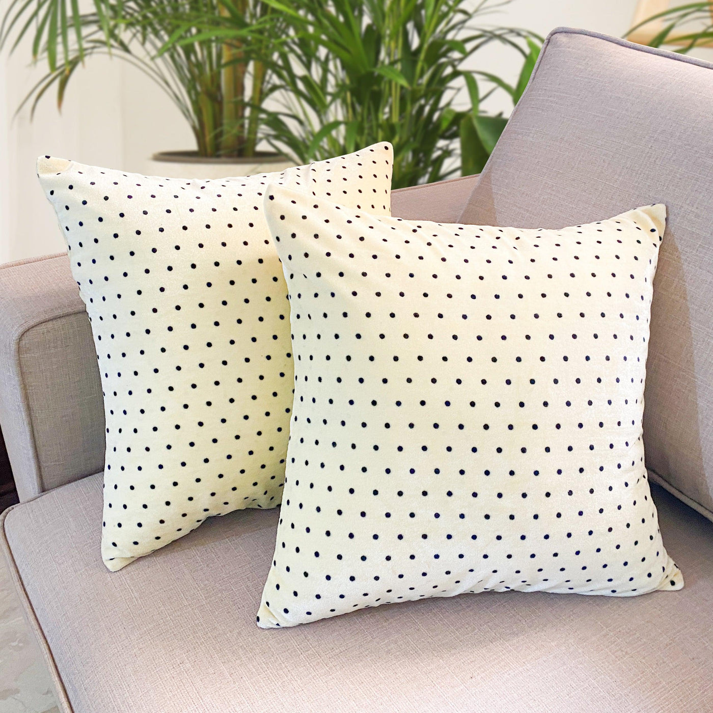 Buttery Soft Velvet Cushion Covers - Polka Dots - Pack of 2 - 16 x 16 inches - silvrbear